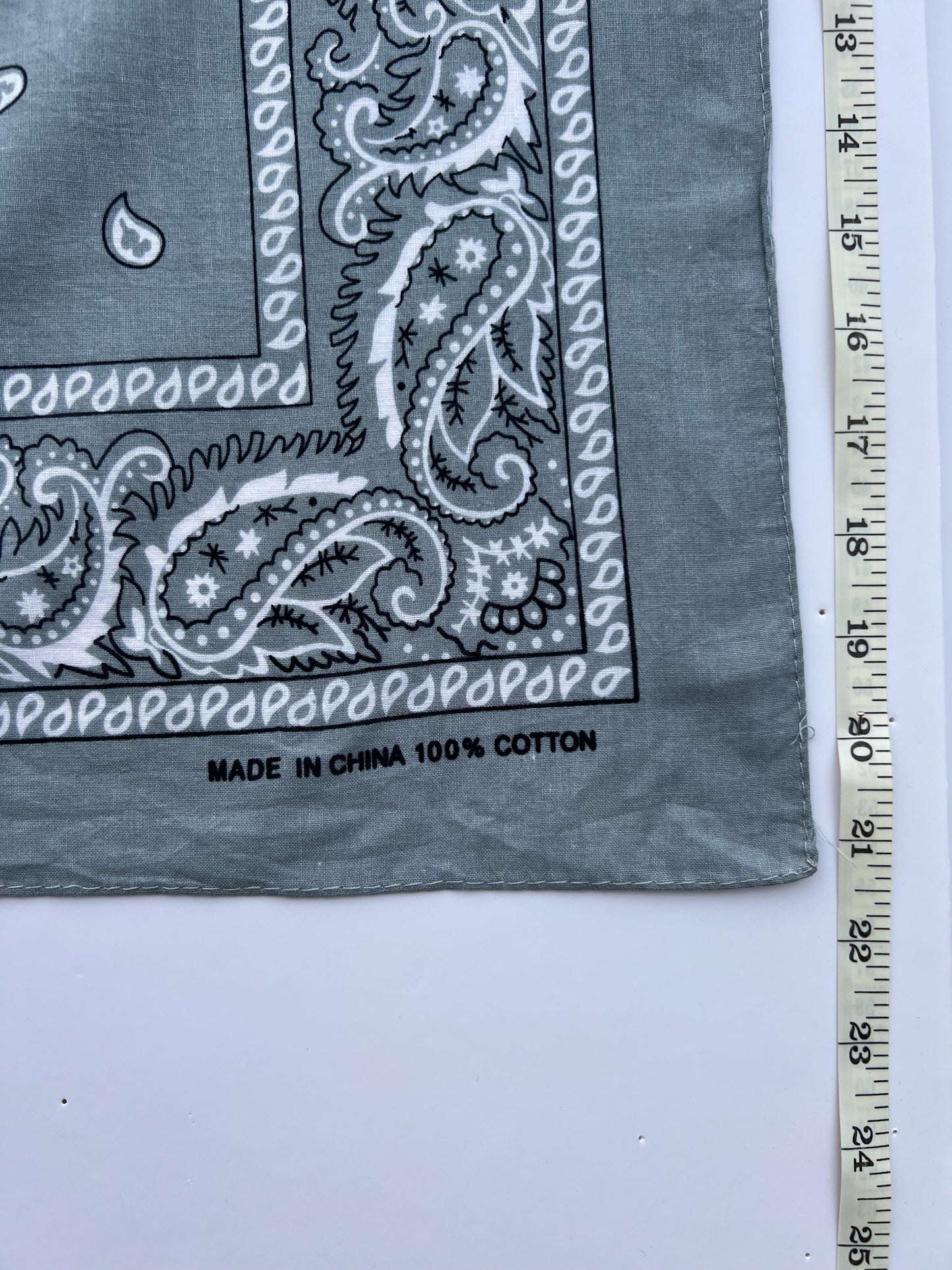 Light Grey Paisley Border Print Bandana