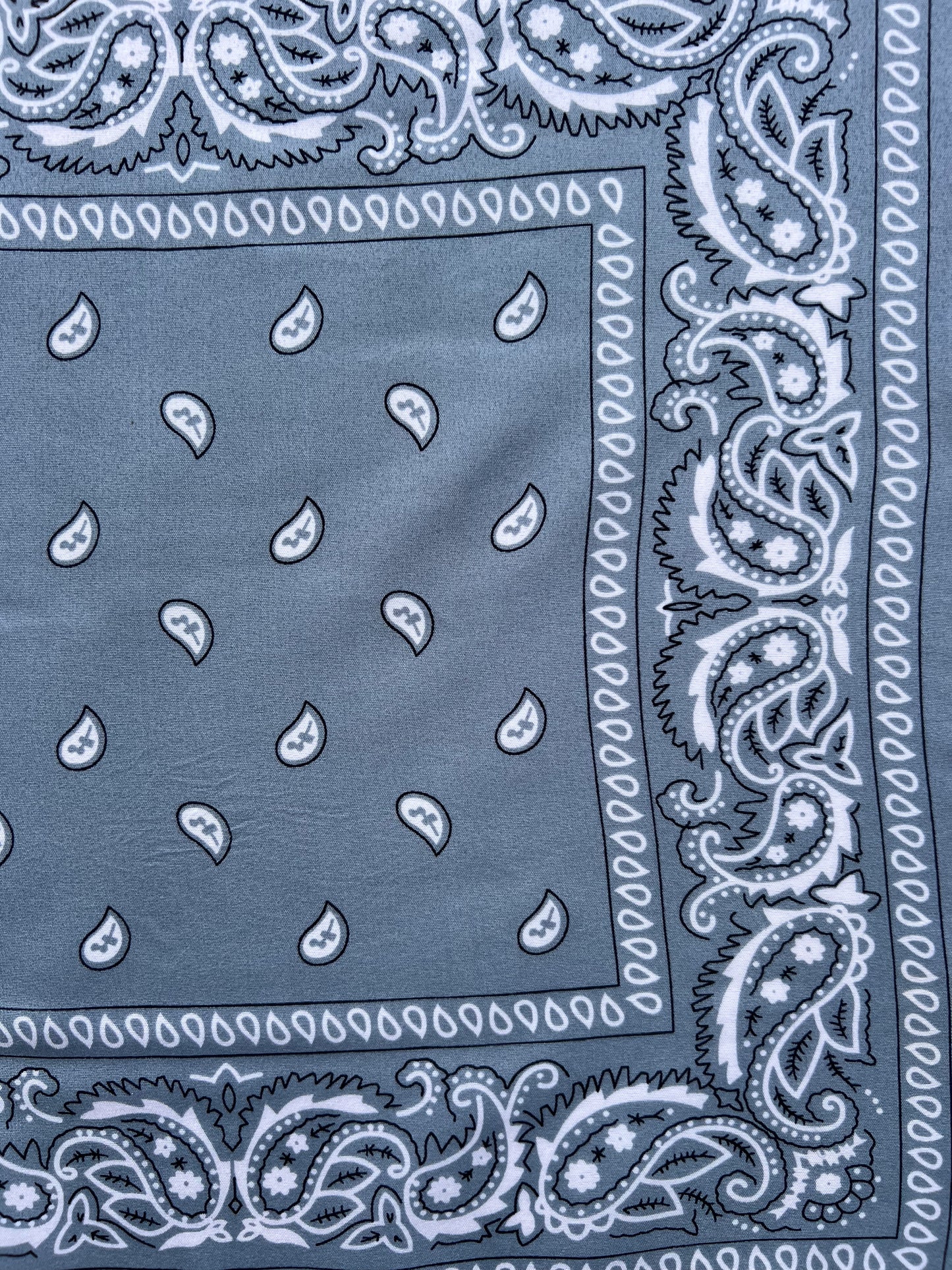 Grey Paisley Border Print Bandana