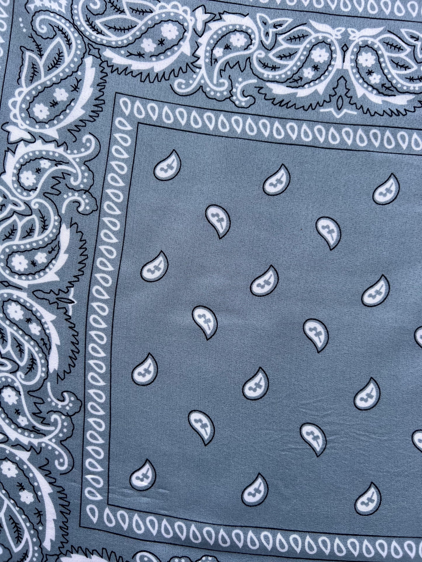 Grey Paisley Border Print Bandana