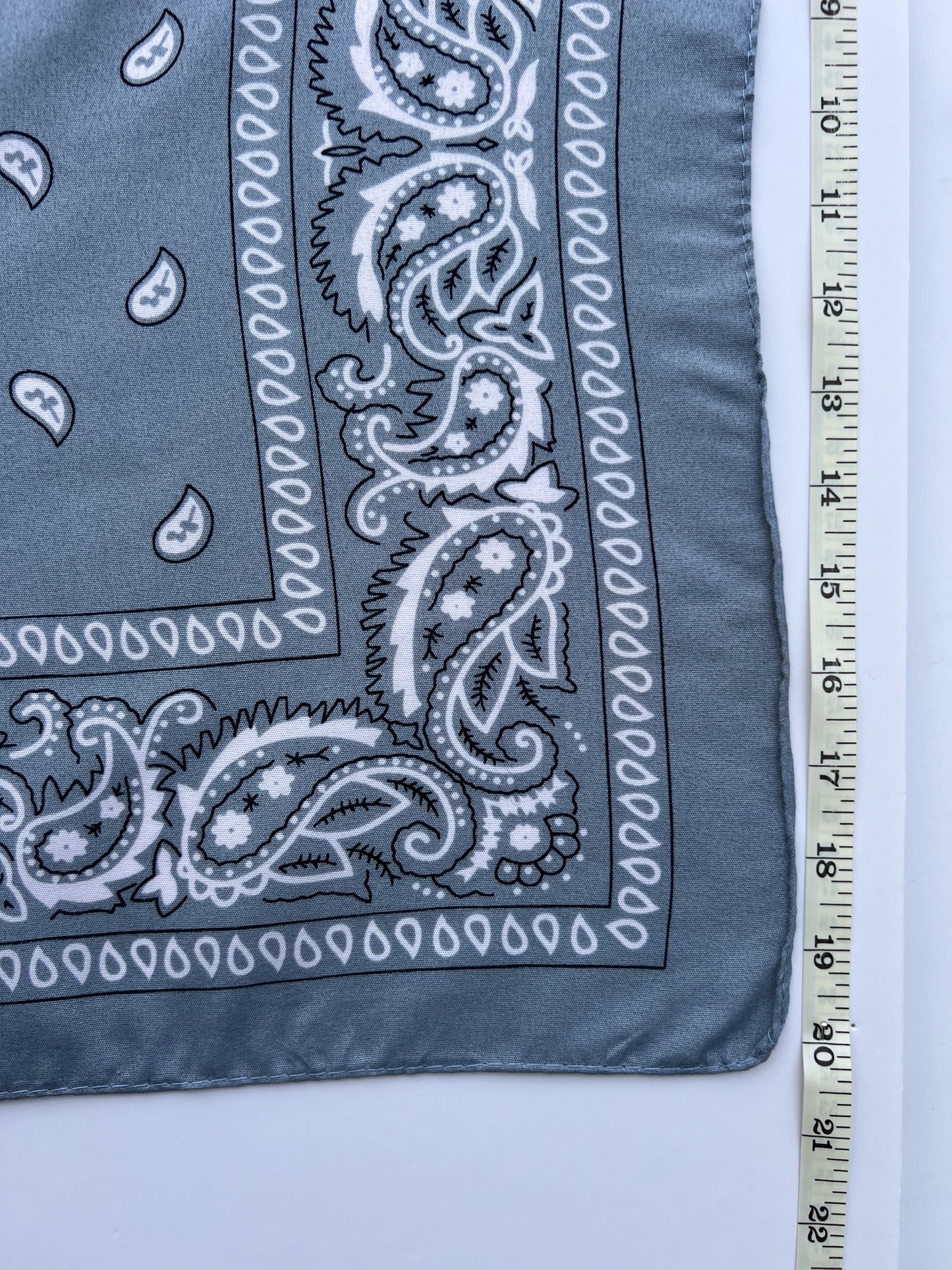 Grey Paisley Border Print Bandana