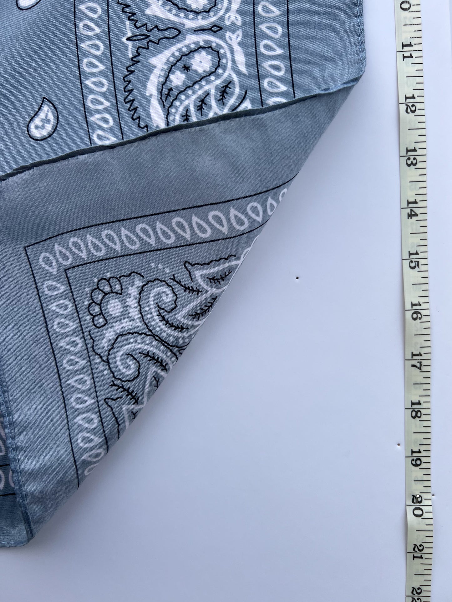Grey Paisley Border Print Bandana