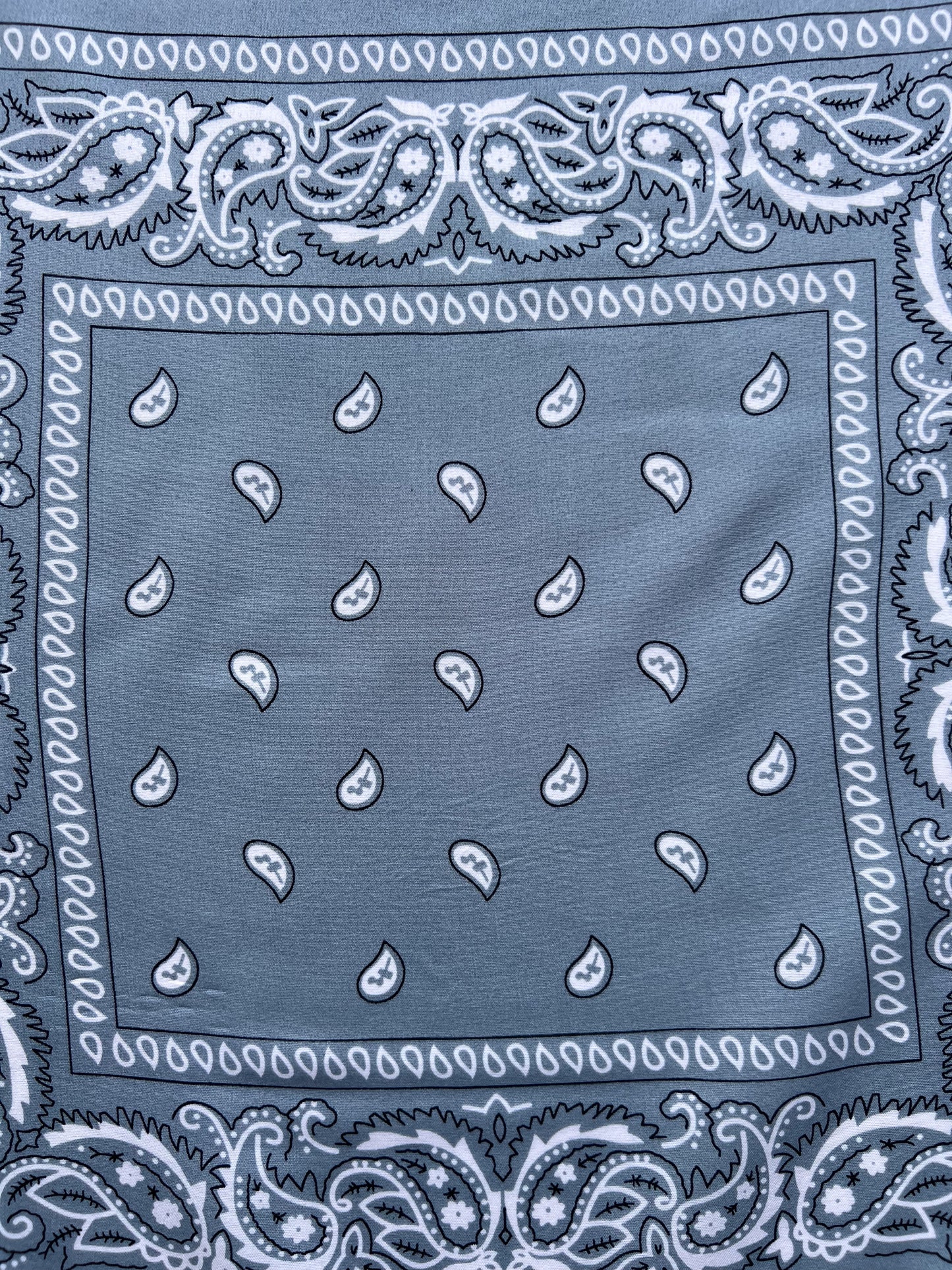 Grey Paisley Border Print Bandana