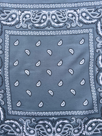 Grey Paisley Border Print Bandana