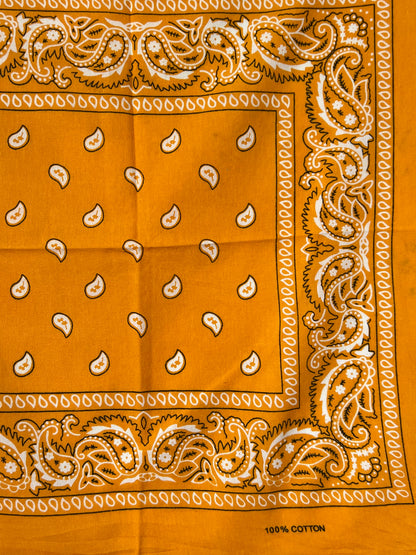 Orange Paisley Print Bandana