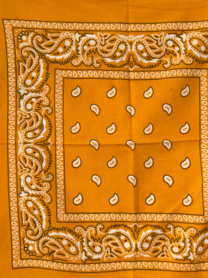 Orange Paisley Print Bandana