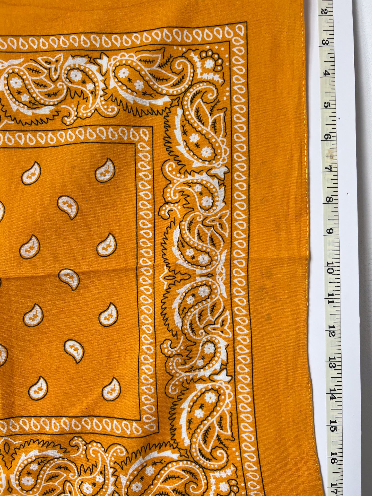 Orange Paisley Print Bandana