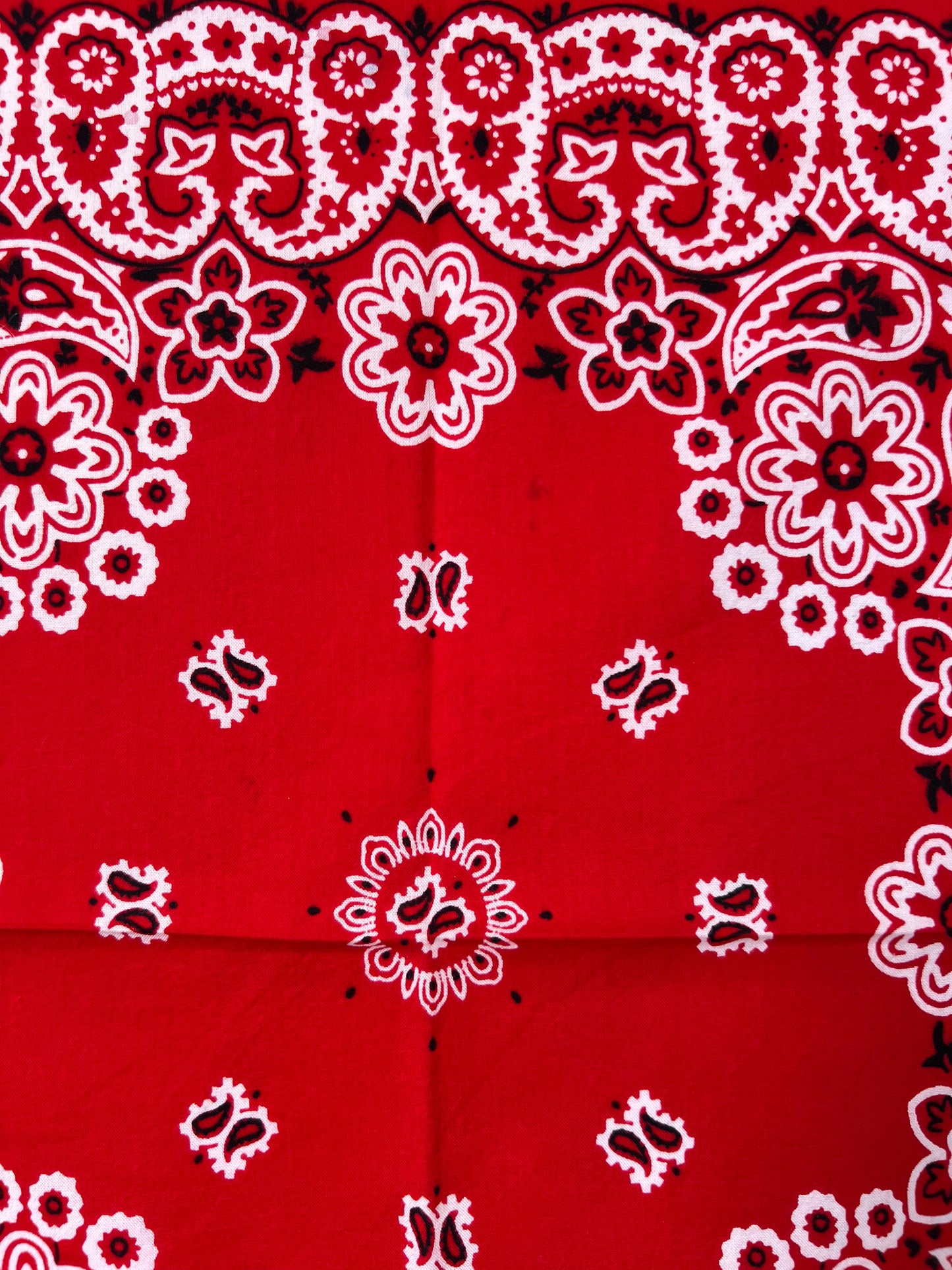 Floral & Paisley Print Red Bandana