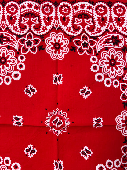 Floral & Paisley Print Red Bandana