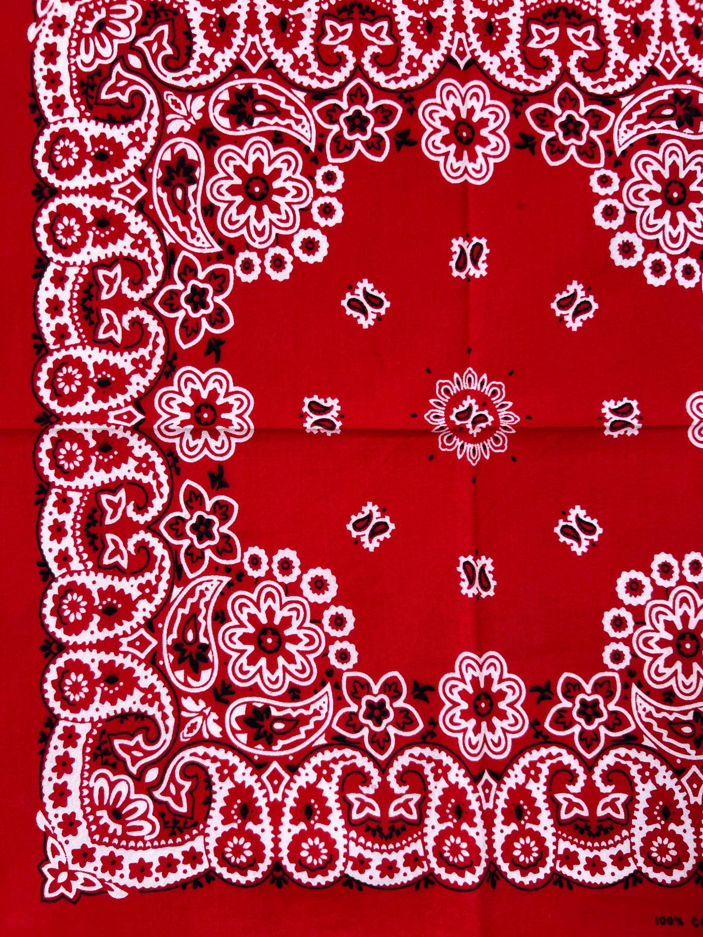 Floral & Paisley Print Red Bandana