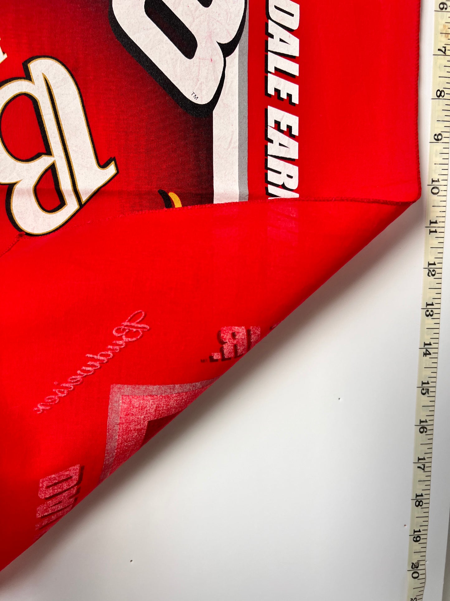 NASCAR Dale Earnhardt jr Budweiser Bandana