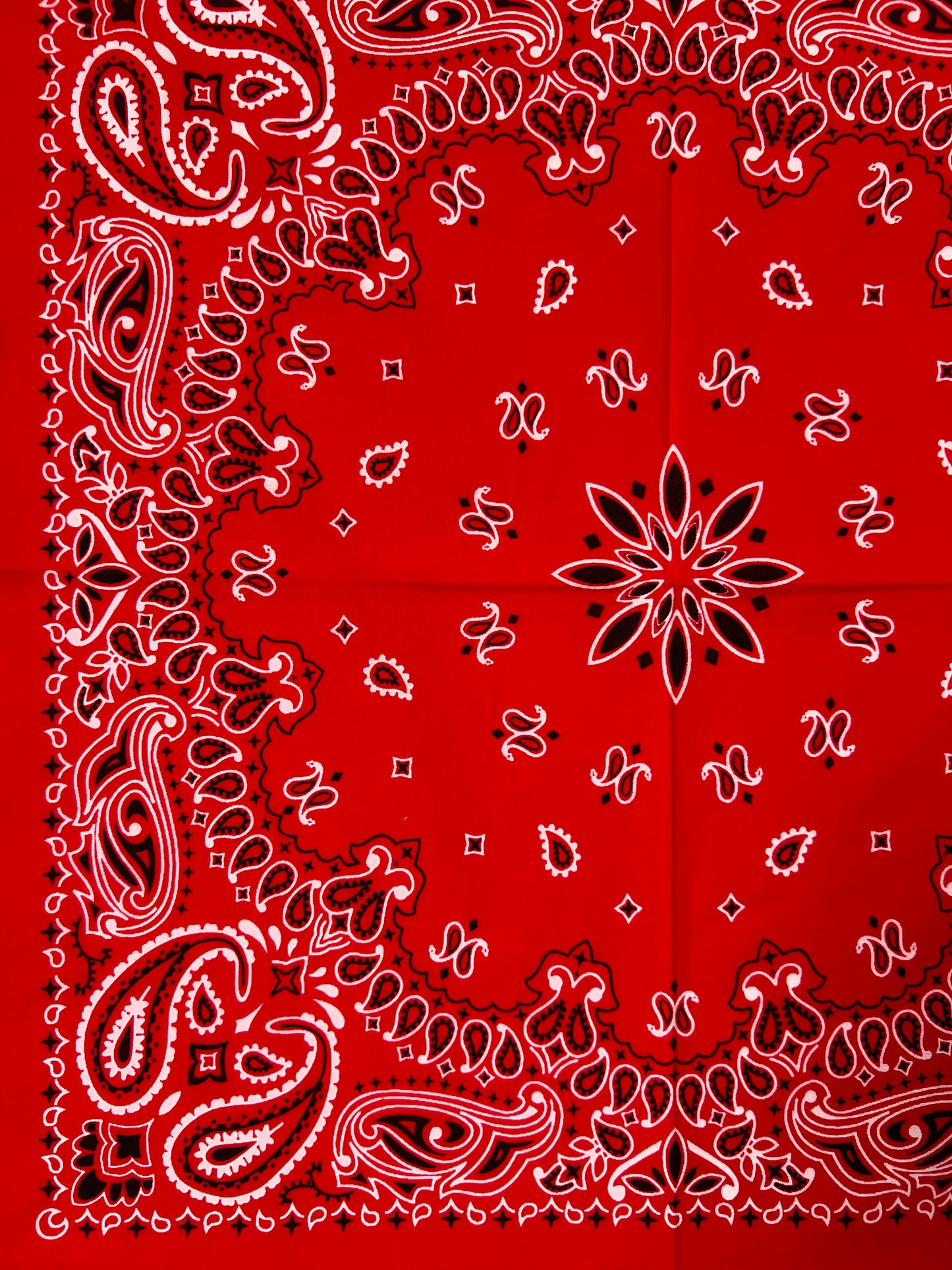 Red, Black & White Paisley Print Bandana