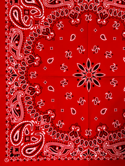 Red, Black & White Paisley Print Bandana