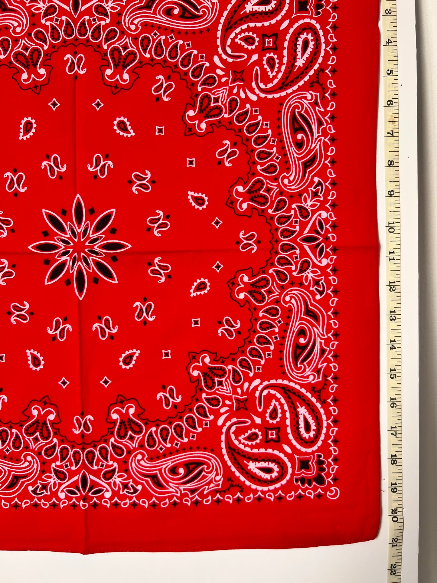 Red, Black & White Paisley Print Bandana