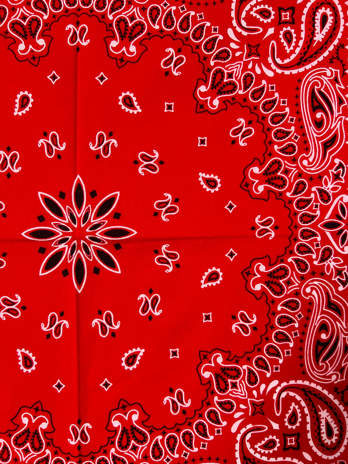 Red, Black & White Paisley Print Bandana