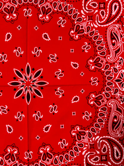 Red, Black & White Paisley Print Bandana
