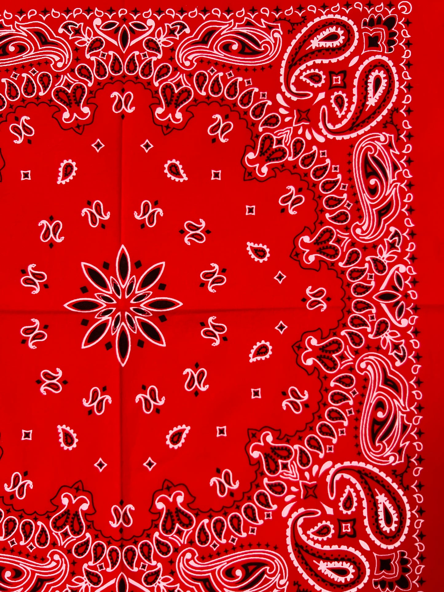 Red, Black & White Paisley Print Bandana