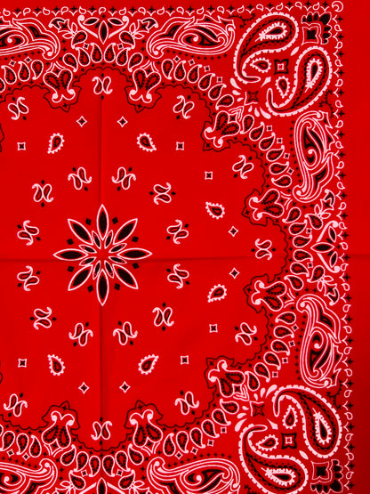 Red, Black & White Paisley Print Bandana
