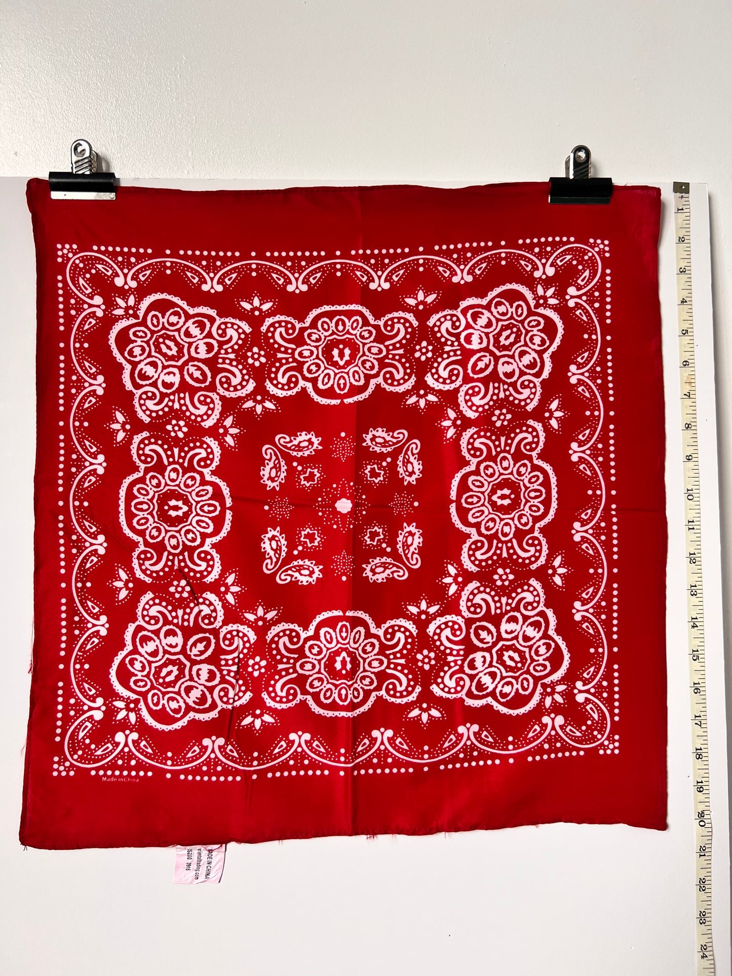 Red Repeat Pattern with Paisley Bandana
