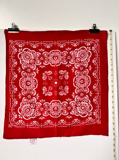 Red Repeat Pattern with Paisley Bandana