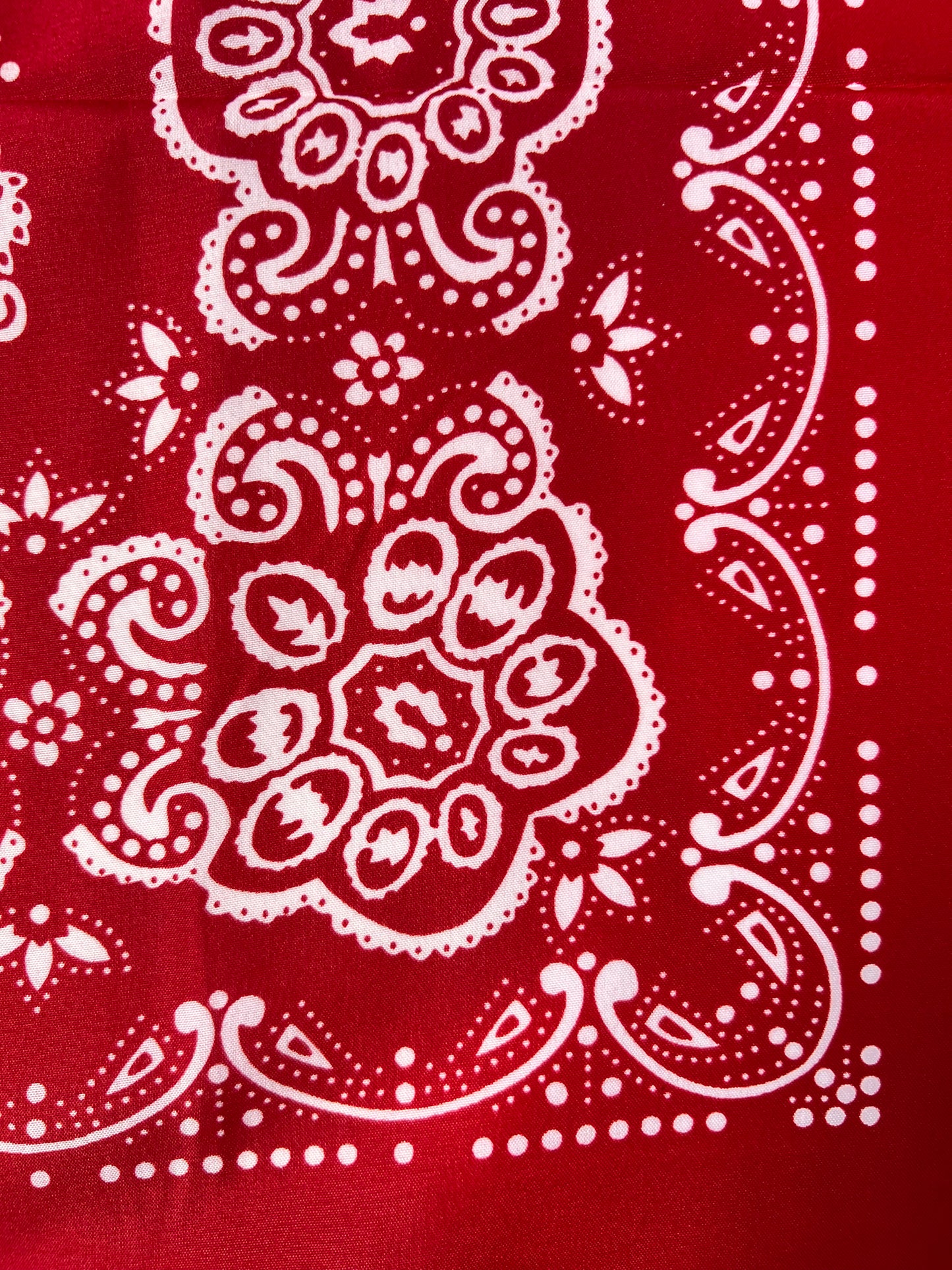 Red Repeat Pattern with Paisley Bandana