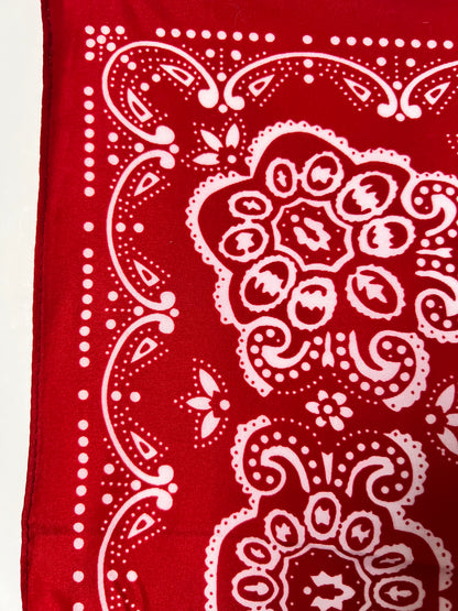 Red Repeat Pattern with Paisley Bandana