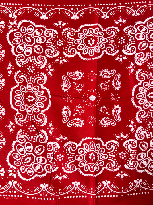 Red Repeat Pattern with Paisley Bandana
