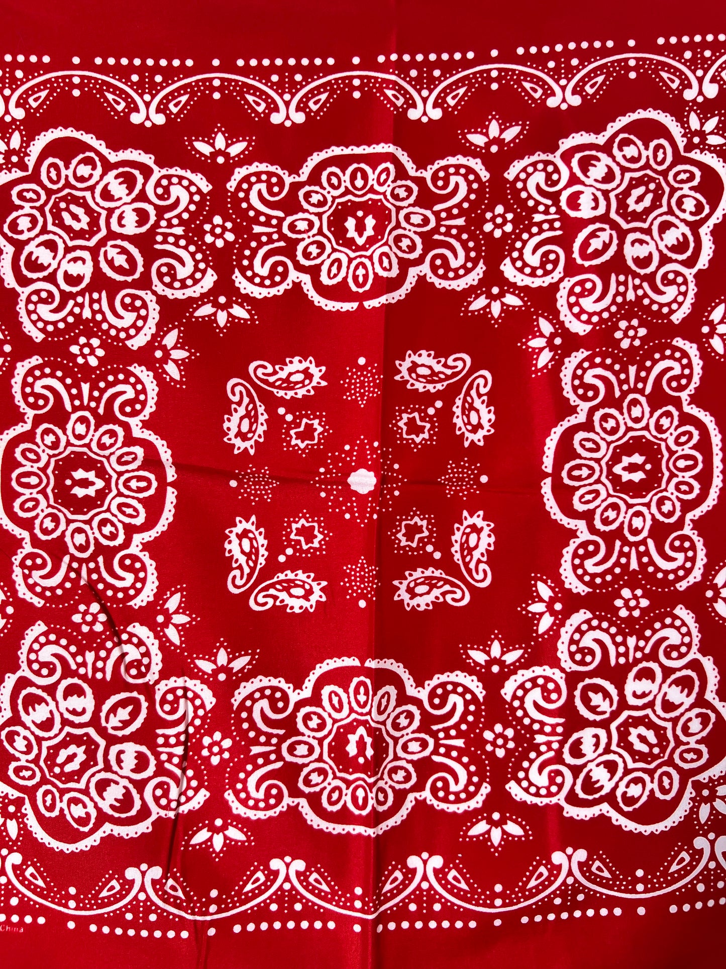 Red Repeat Pattern with Paisley Bandana