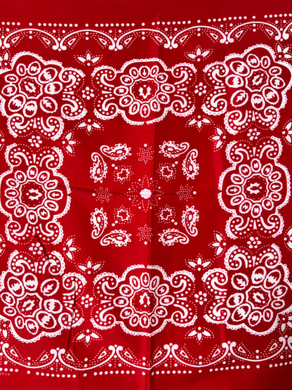 Red Repeat Pattern with Paisley Bandana