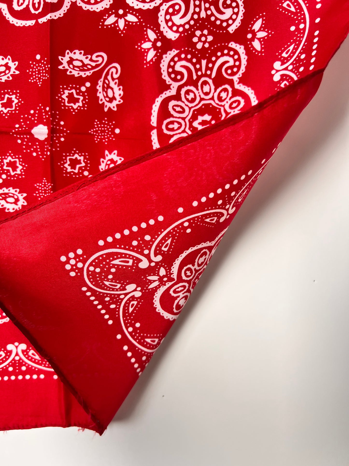 Red Repeat Pattern with Paisley Bandana