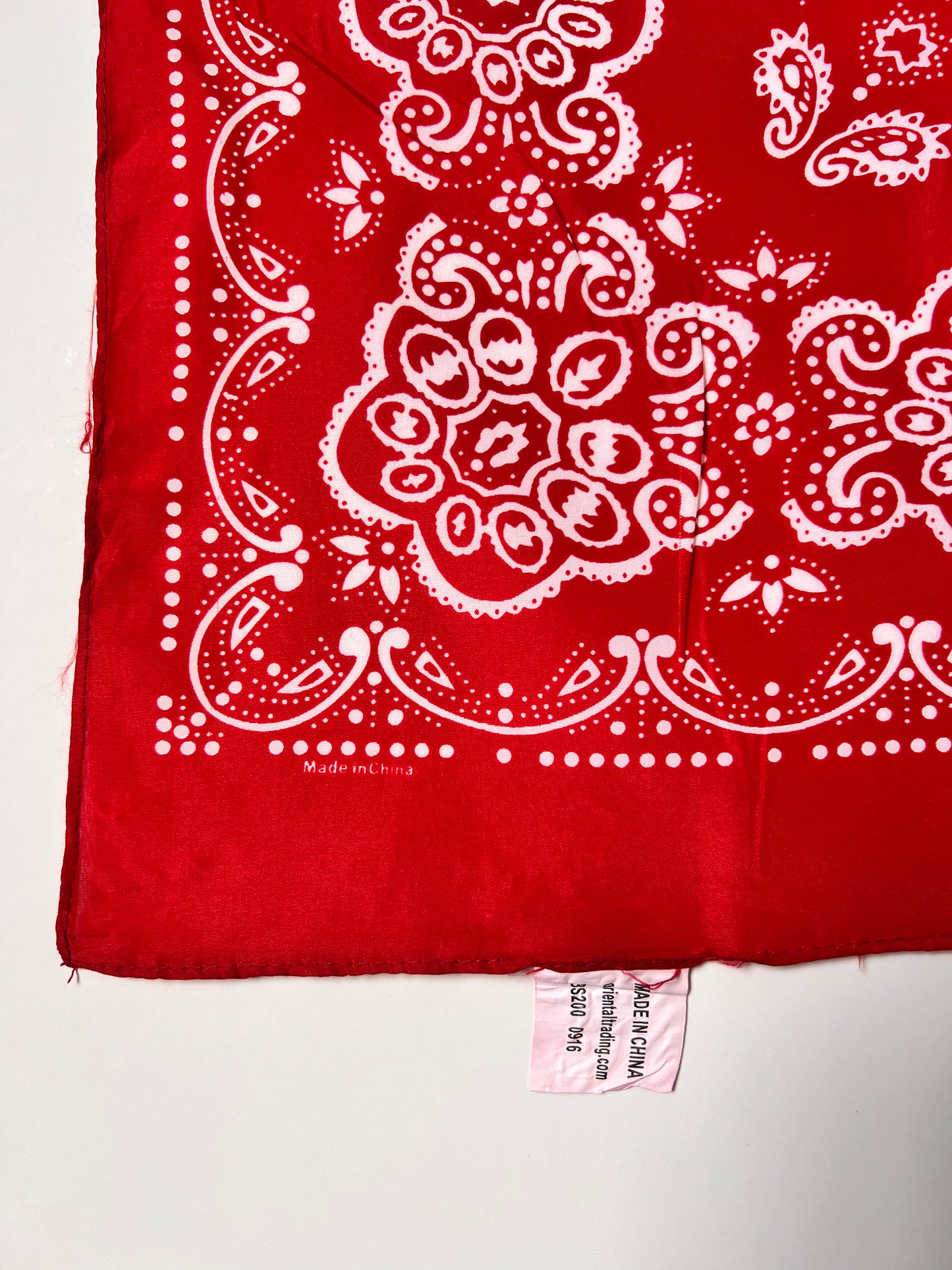 Red Repeat Pattern with Paisley Bandana
