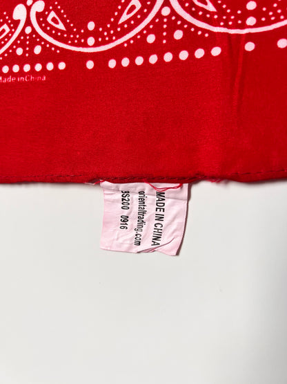 Red Repeat Pattern with Paisley Bandana