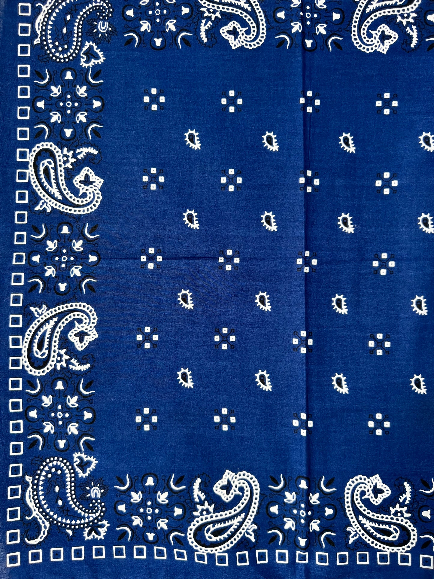 Blue Paisley Print Bandana with Black & White