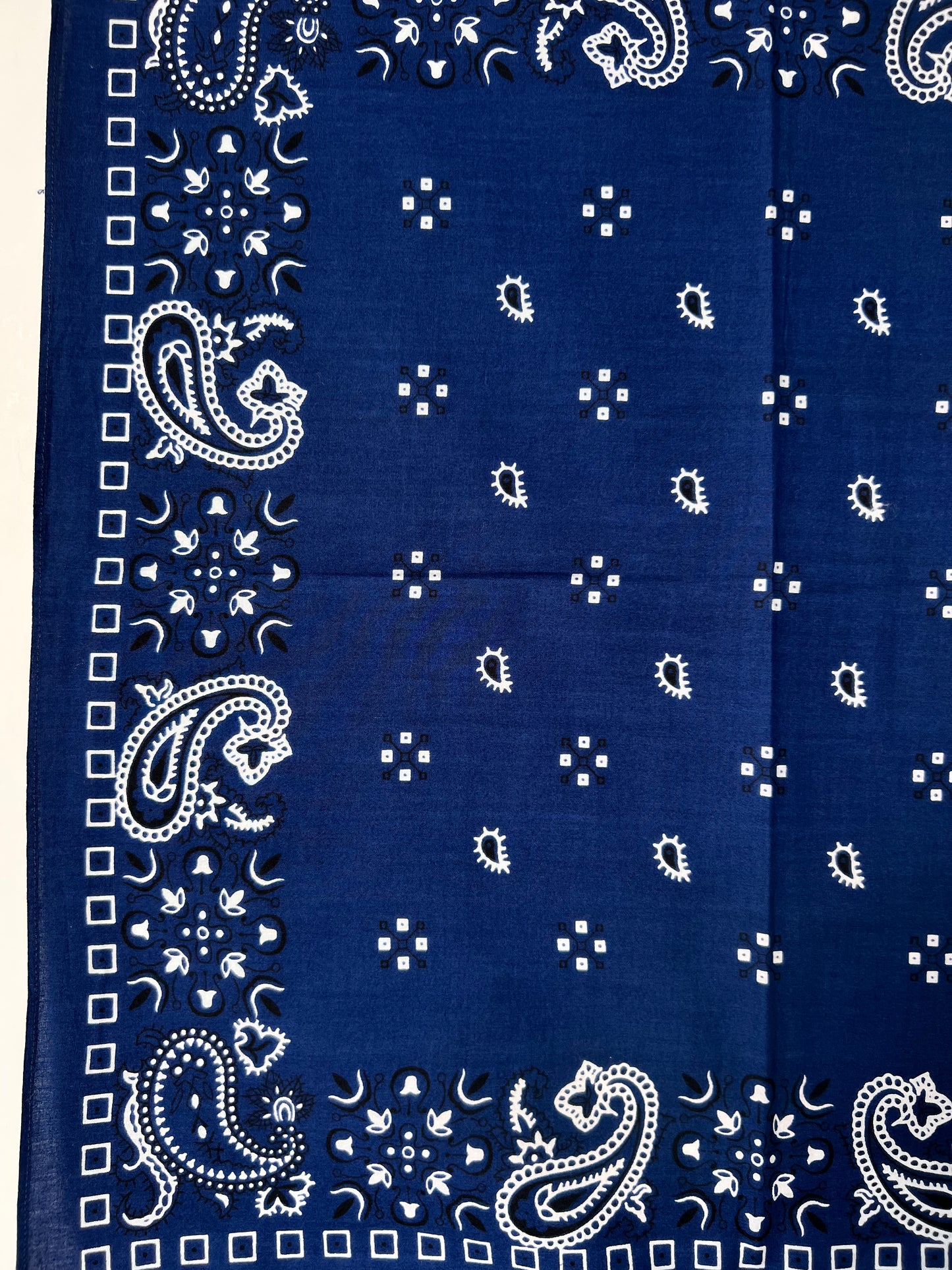 Blue Paisley Print Bandana with Black & White