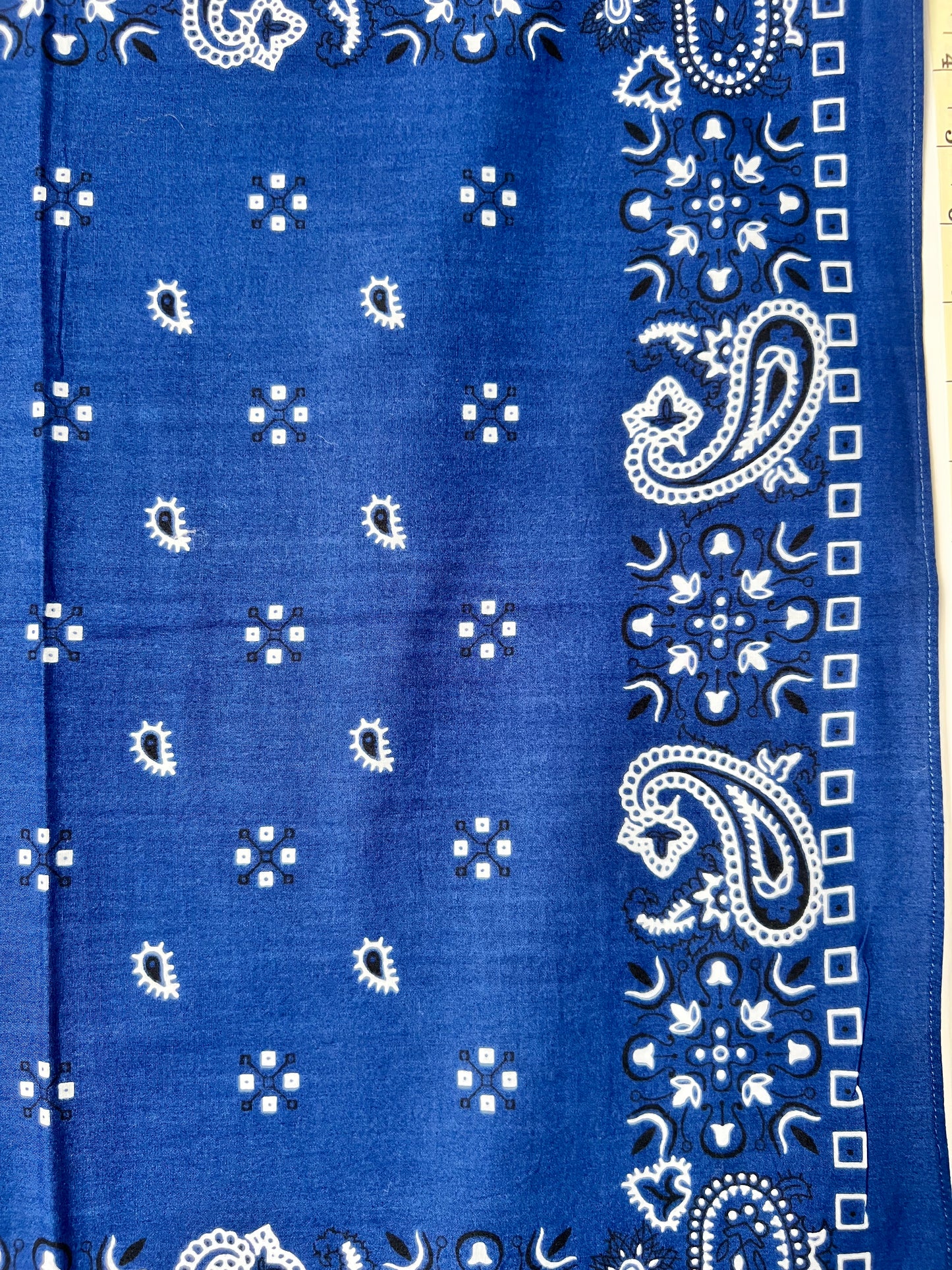 Blue Paisley Print Bandana with Black & White