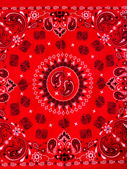 Red Mandala Style Paisley Print Bandana