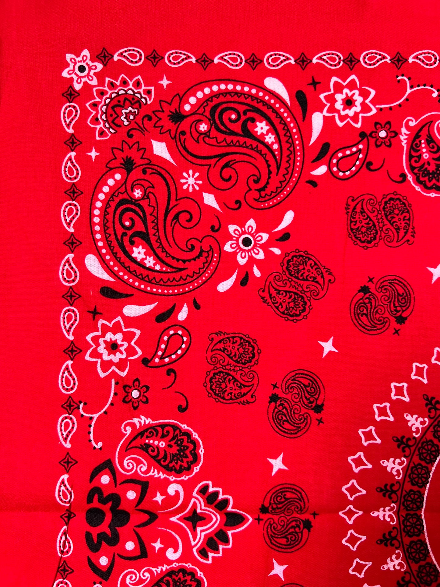 Red Mandala Style Paisley Print Bandana