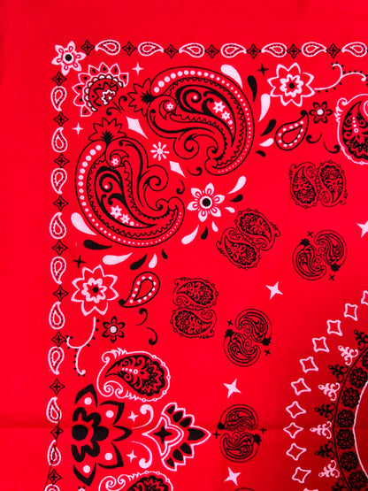 Red Mandala Style Paisley Print Bandana