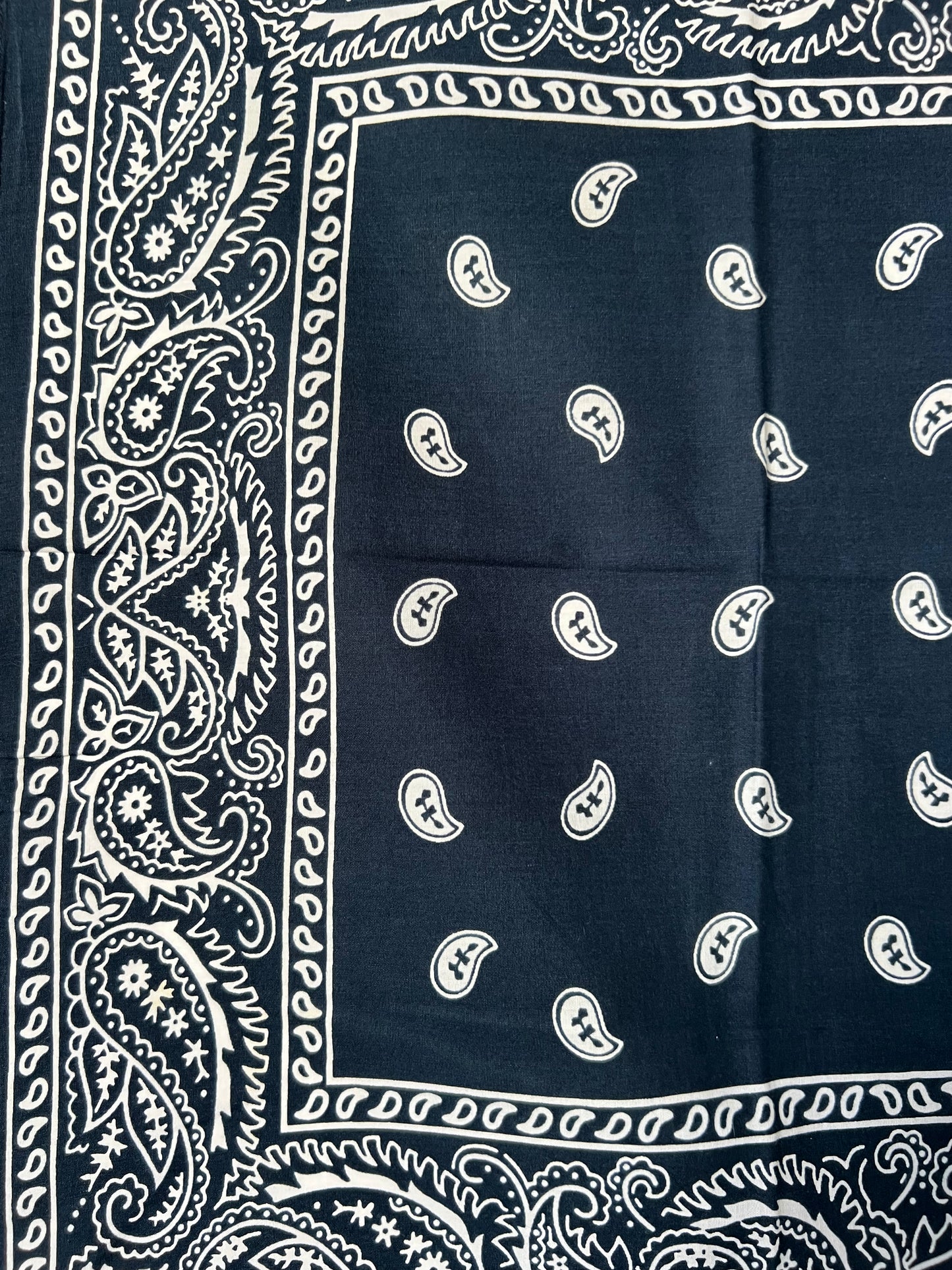 Dark Blue Paisley Border Print Bandana
