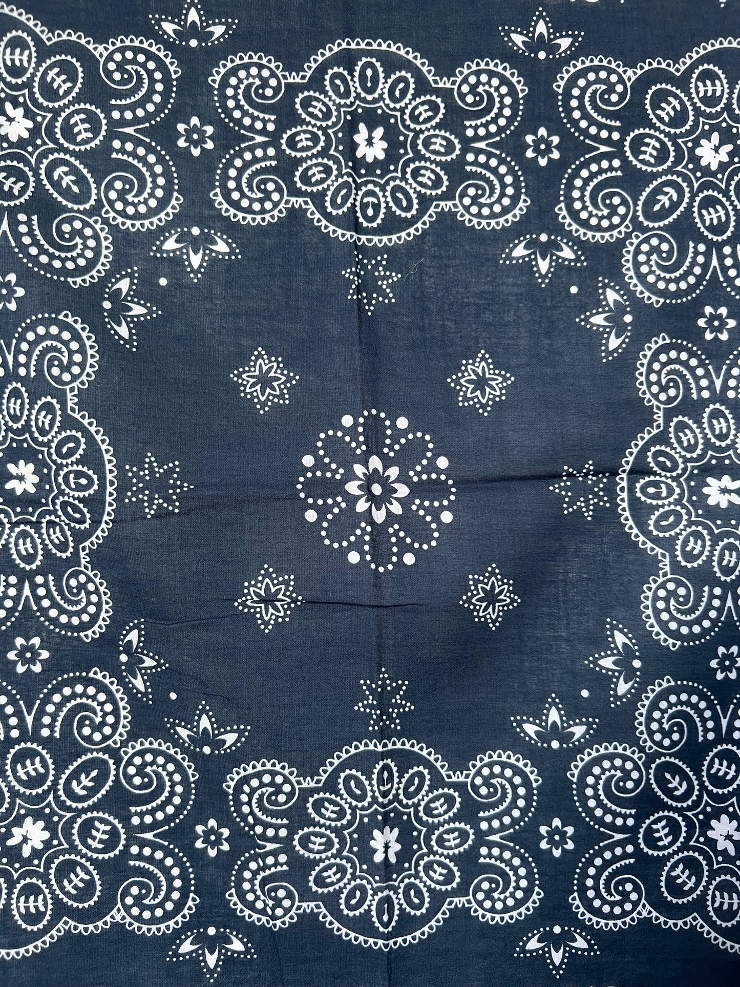Dark Blue Paisley Border Print Bandana
