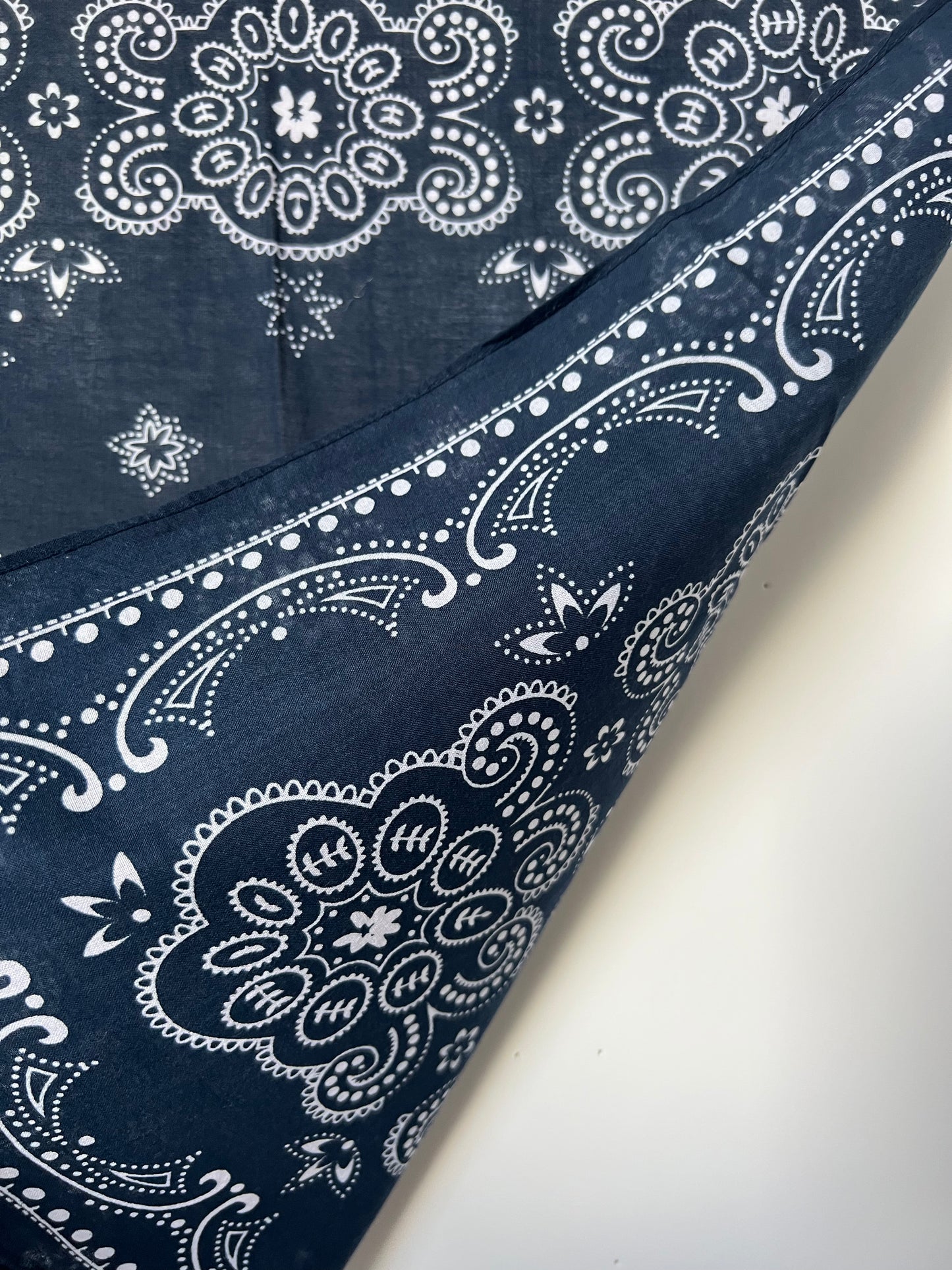 Dark Blue Paisley Border Print Bandana