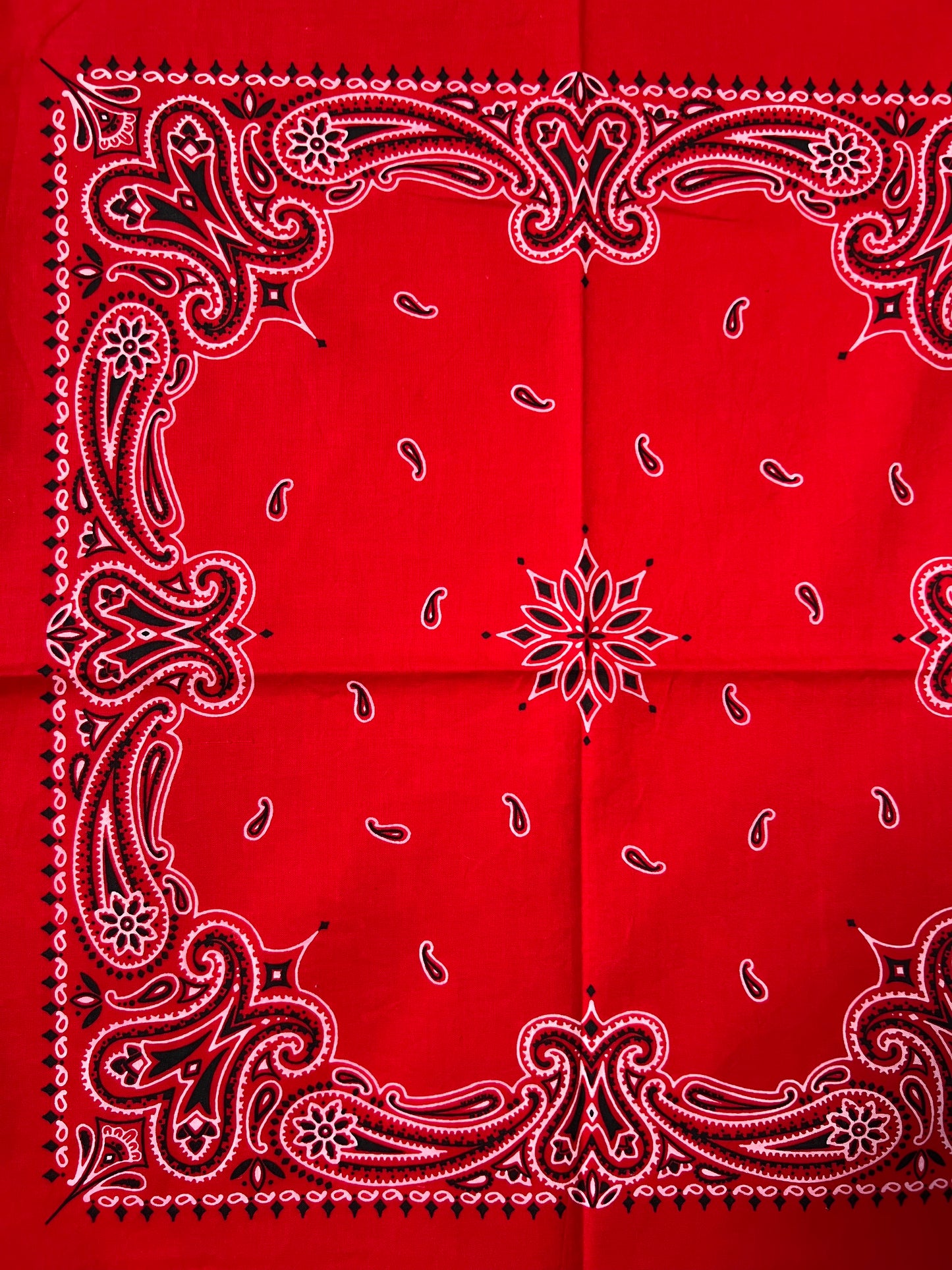Red Paisley Print Border Bandana