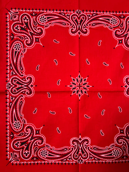 Red Paisley Print Border Bandana