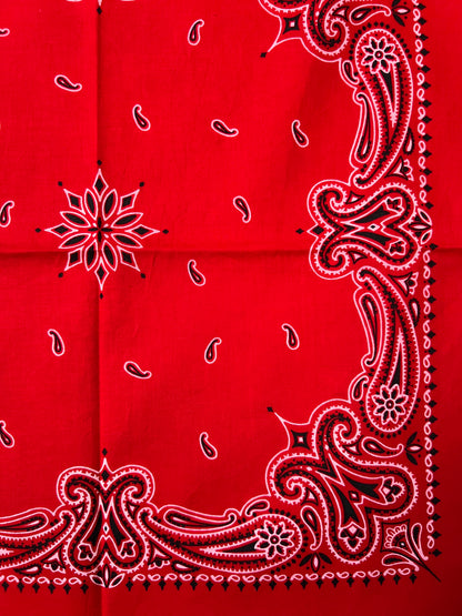 Red Paisley Print Border Bandana