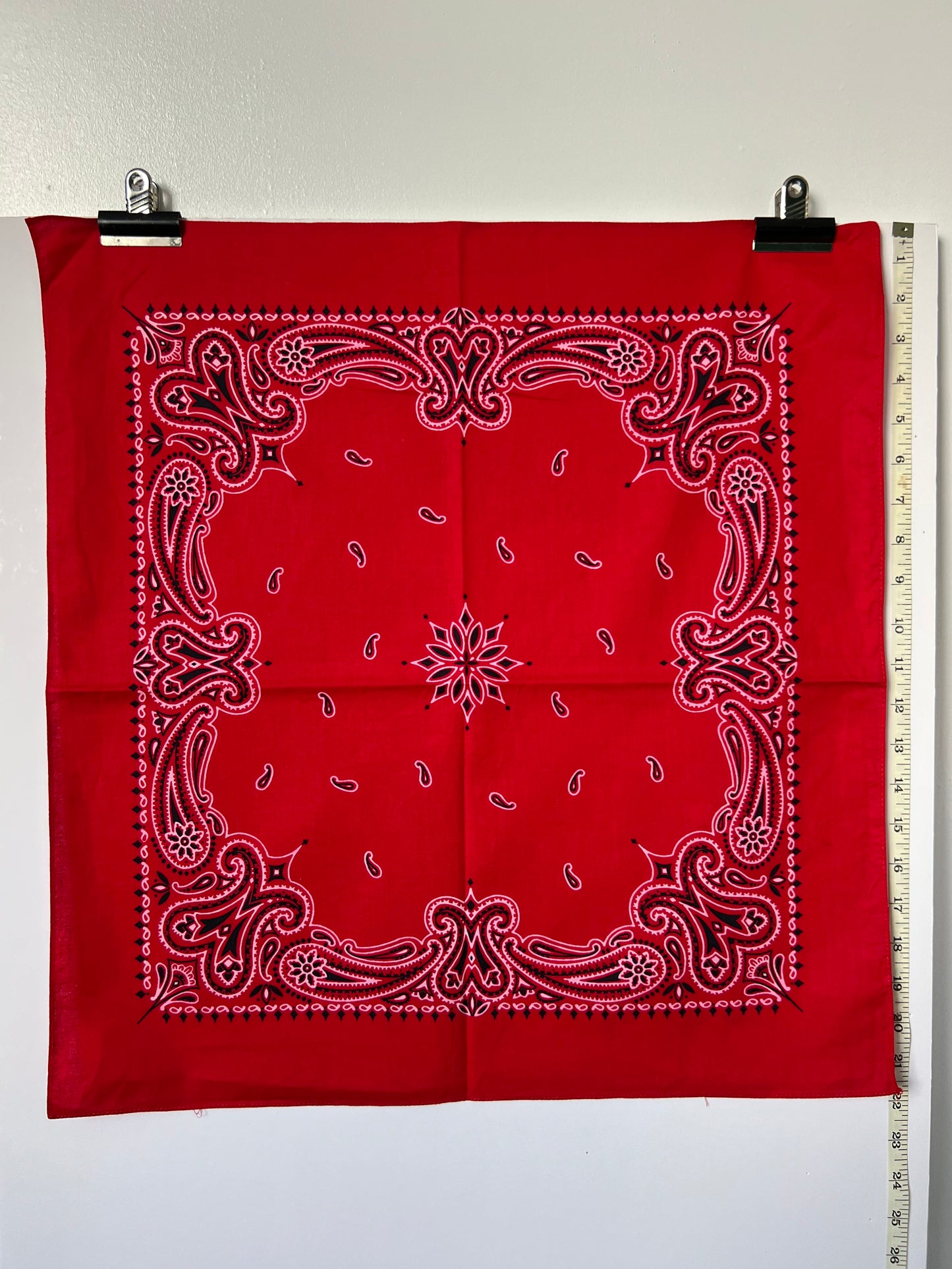 Red Paisley Print Border Bandana