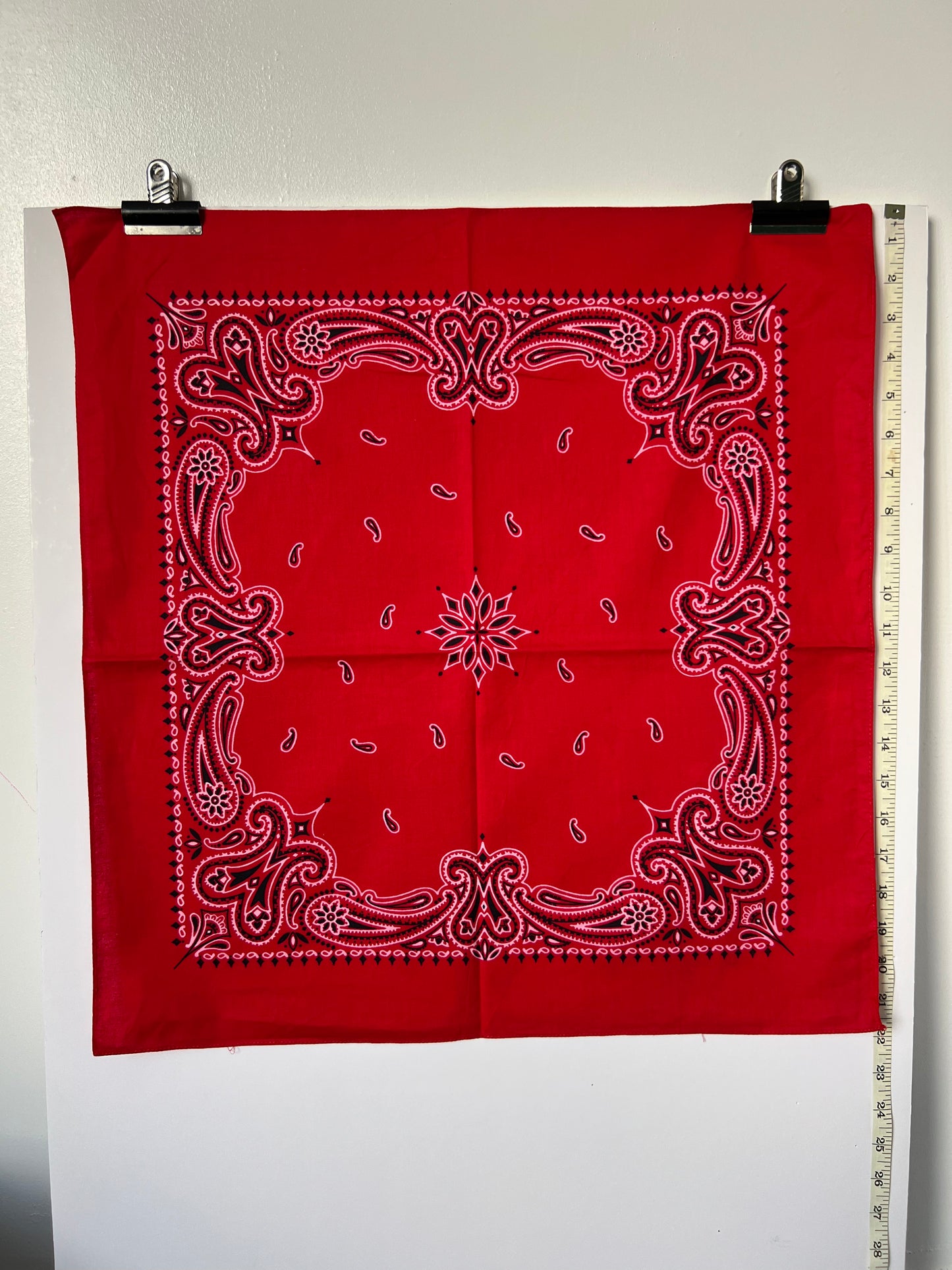 Red Paisley Print Border Bandana