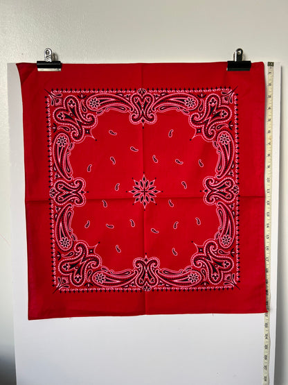 Red Paisley Print Border Bandana