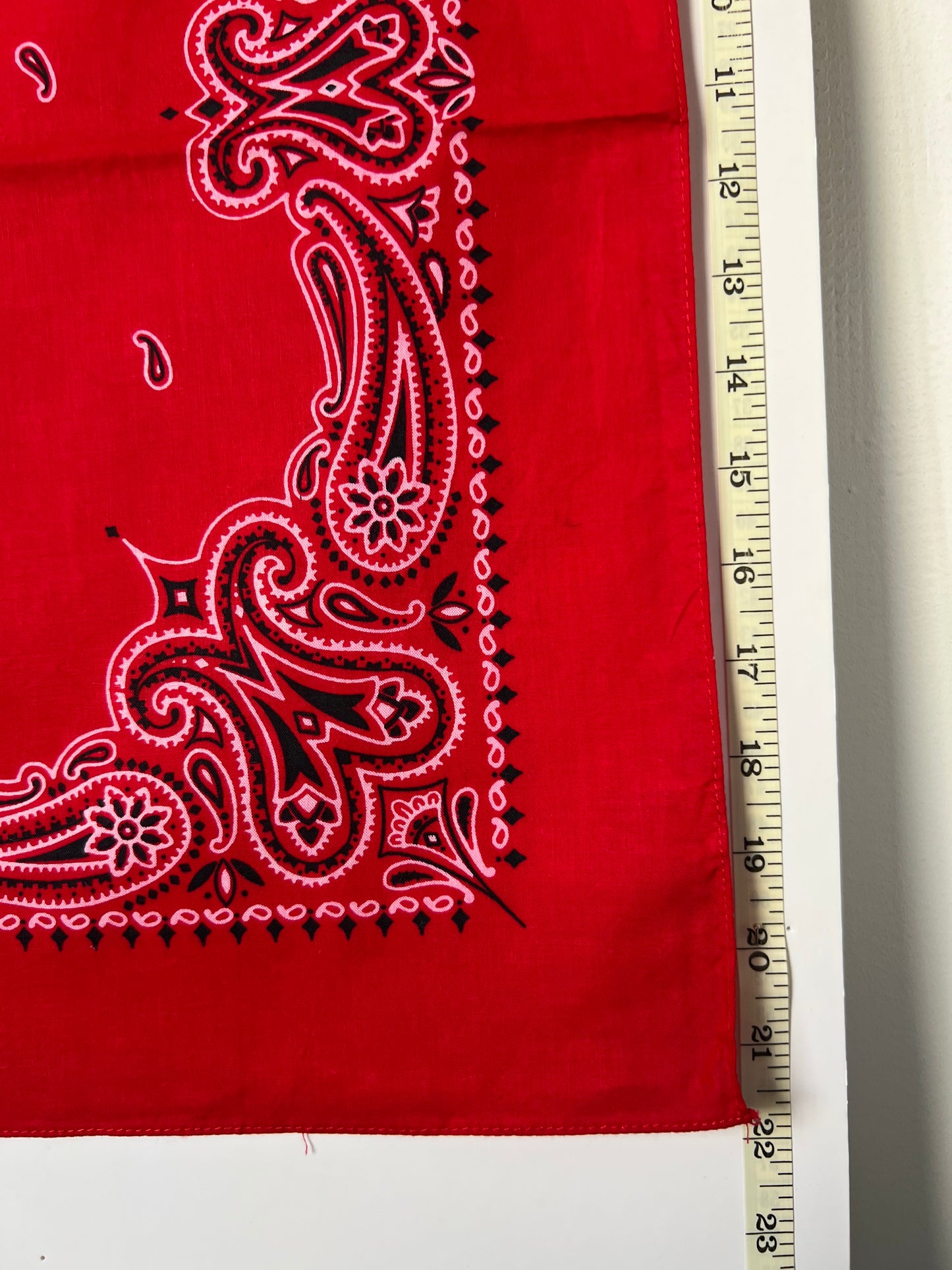 Red Paisley Print Border Bandana