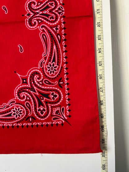 Red Paisley Print Border Bandana