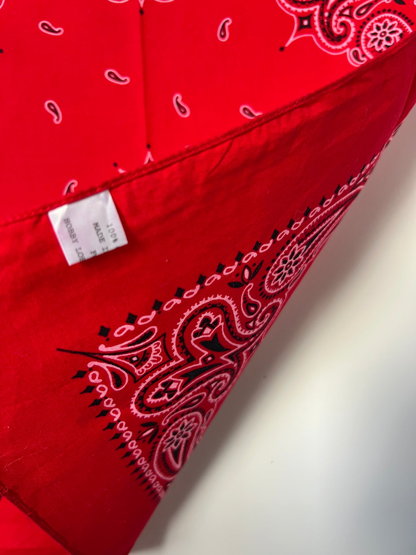 Red Paisley Print Border Bandana