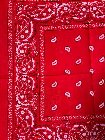 Red, White & Black Paisley Print Bandana